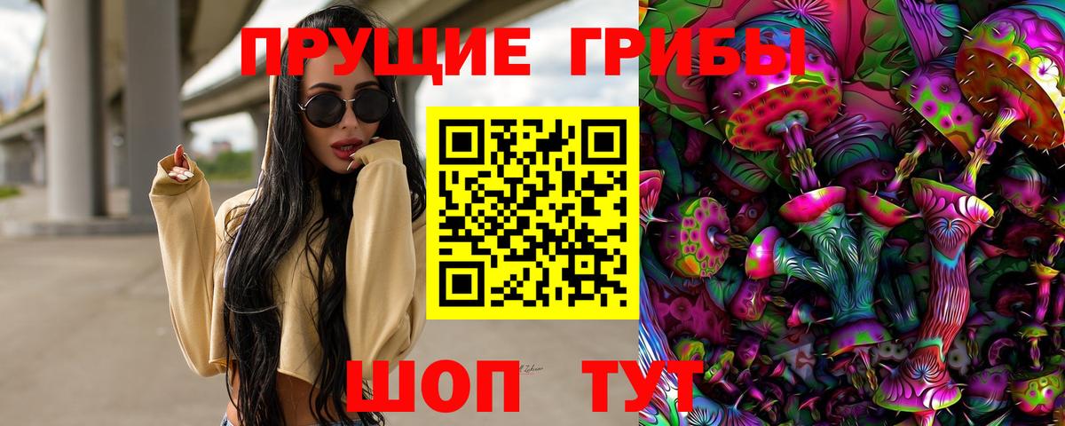 Галлюциногенные грибы Magic Shrooms  магазин продажи   Михайловск  Вход с VPN 